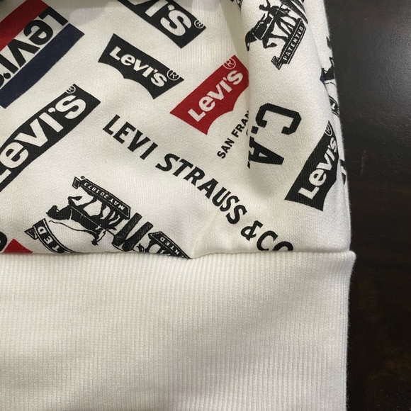 Boys Levi's Fleece Batwing Pullover Hoodie - Picture 14 of 16